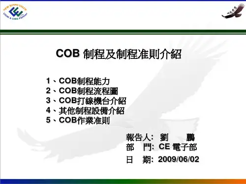 COB制程及制程作业准则