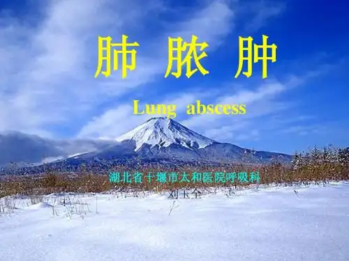 肺 脓 肿