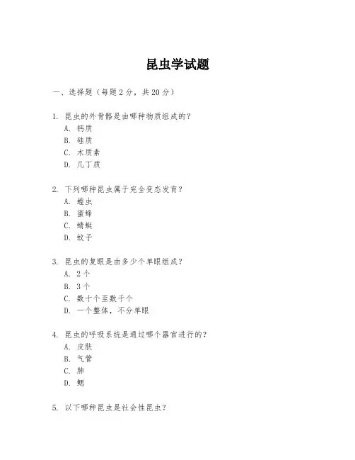 昆虫学试题