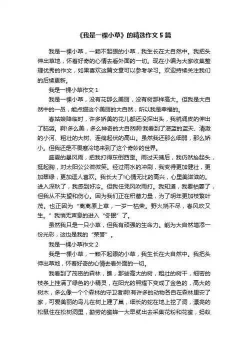《我是一棵小草》的精选作文5篇