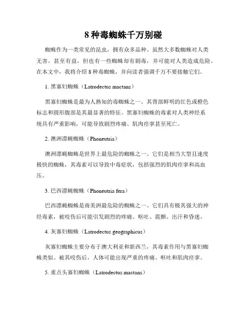 8种毒蜘蛛千万别碰
