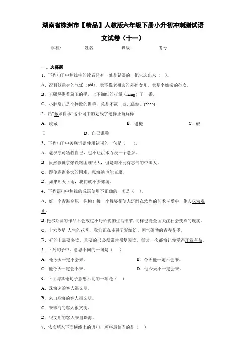 人教版六年级下册小升初冲刺测试语文试卷(十一)(含答案解析)