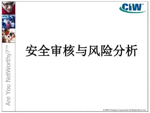 安全审核与风险分析