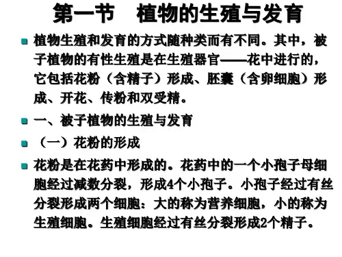 植物的生长发育