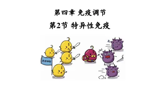 4.2特异性免疫 课件(共38张PPT)高二上学期生物人教版选择性必修1