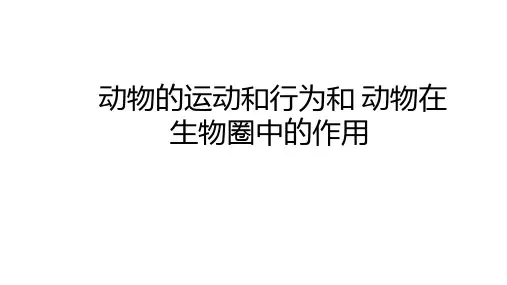 动物的运动和行为和动物在生物圈中的作用复习课件中考生物总复习