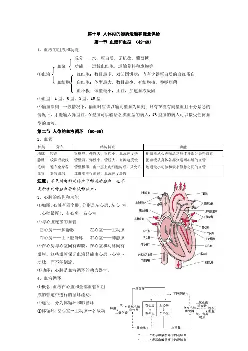 最新七年级生物下第十章人体内的物质运输和能量供给复习提纲