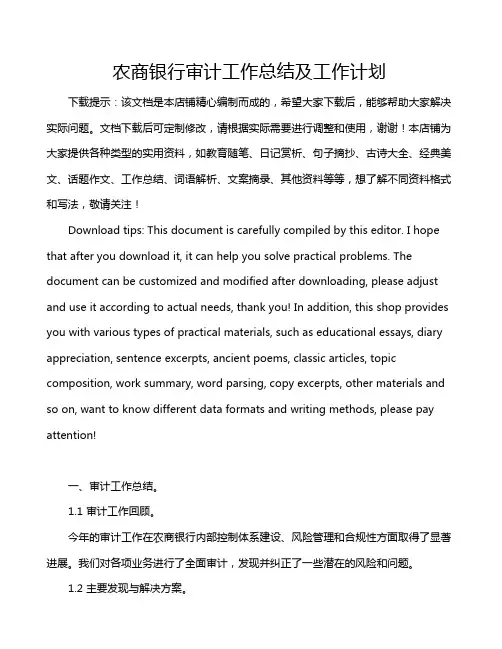 农商银行审计工作总结及工作计划