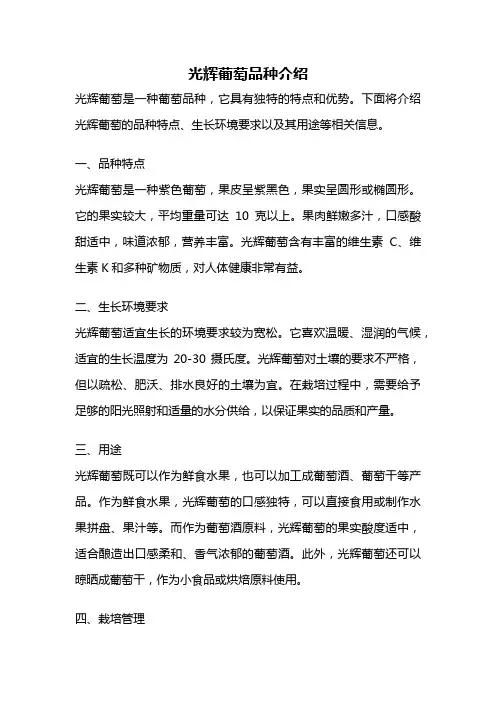 光辉葡萄品种介绍