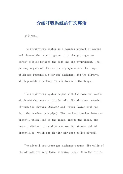 介绍呼吸系统的作文英语