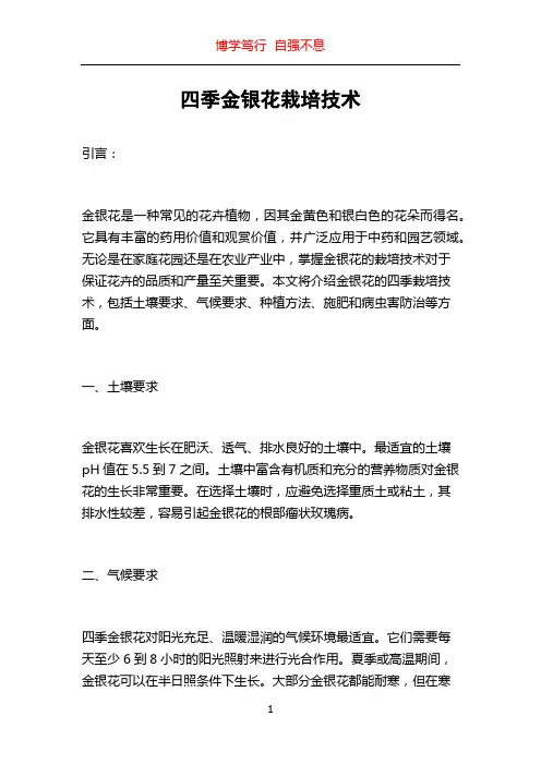 四季金银花栽培技术
