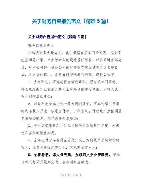 财务自查报告范文(5篇)