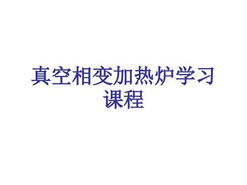 真空加热炉