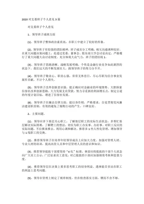 2020对支委班子个人意见3篇