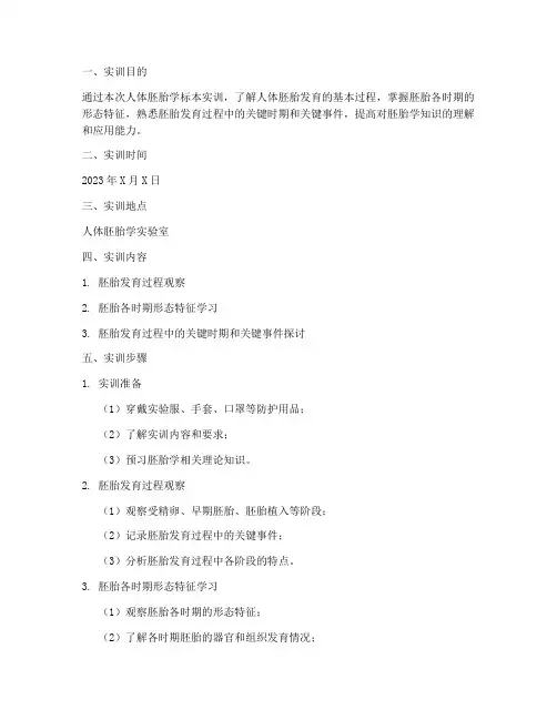 人体胚胎学标本实训报告