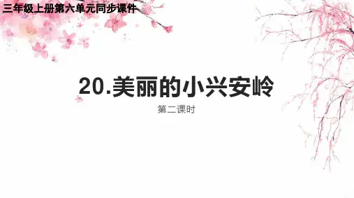 20.《美丽的小兴安岭》 第二课时课件(共19张PPT)