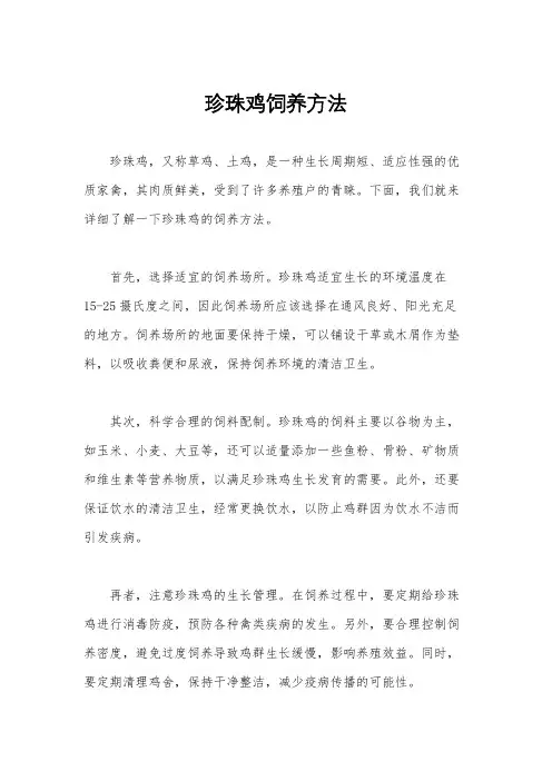 珍珠鸡饲养方法