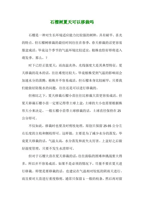 石榴树夏天可以移栽吗