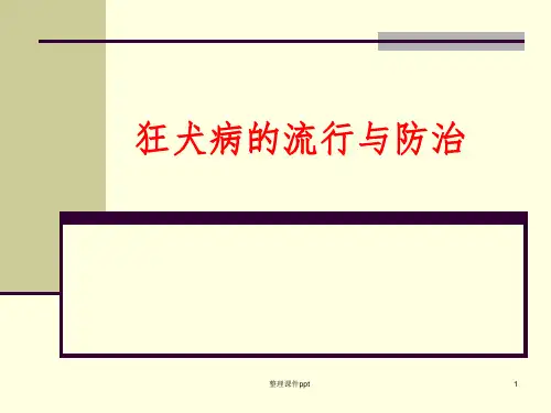 《狂犬病的防治》PPT课件