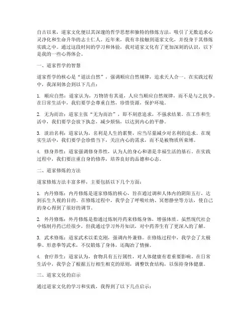 道家文化实践心得体会