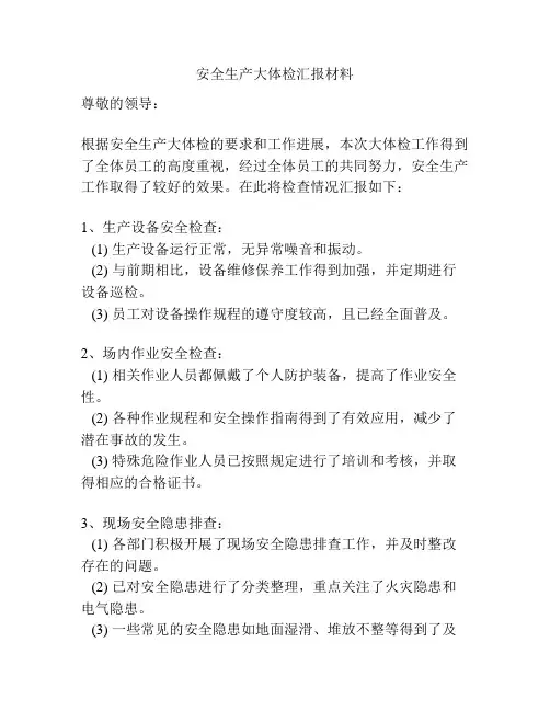 安全生产大体检汇报材料