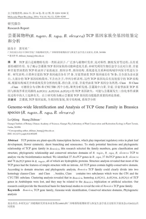 芸薹属物种(B.napusB.rapaB.oleracea)TCP基因家族全基因组鉴定和分析