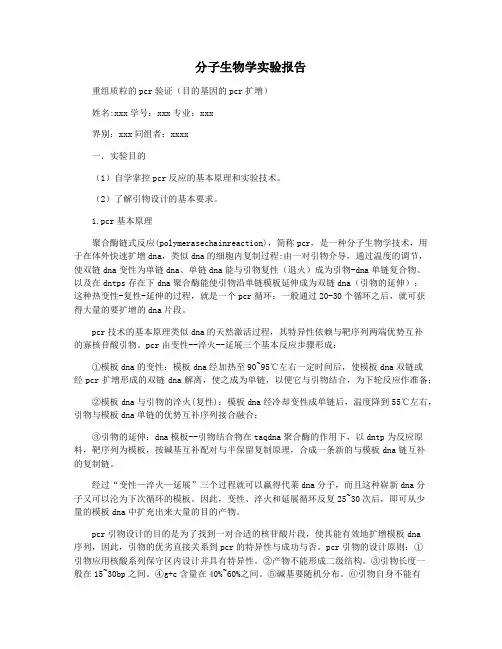 分子生物学实验报告