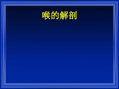 嗓音障碍：喉的解剖