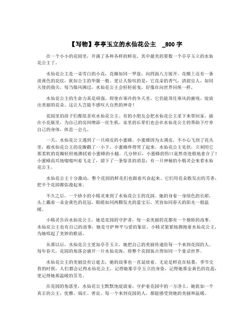 【写物】亭亭玉立的水仙花公主 _800字