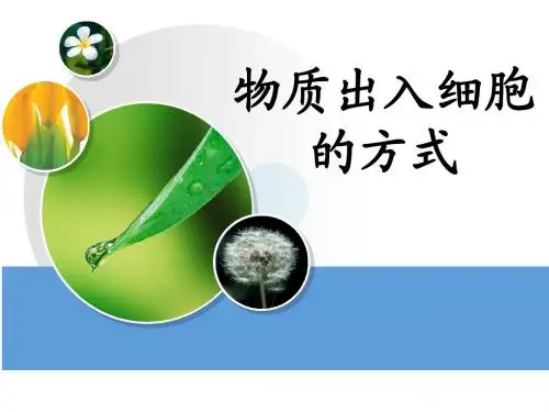 物质出入细胞   的方式
