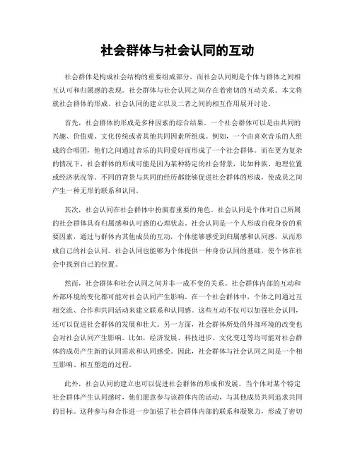社会群体与社会认同的互动