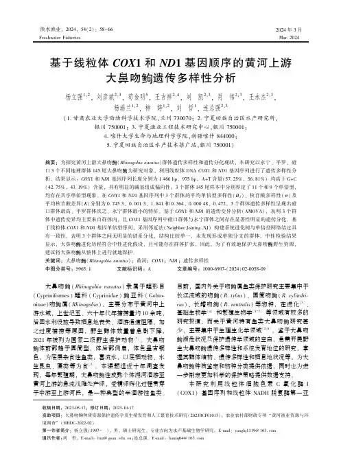 基于线粒体COX1和ND1基因顺序的黄河上游大鼻吻