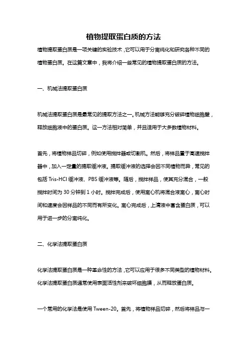 植物提取蛋白质的方法