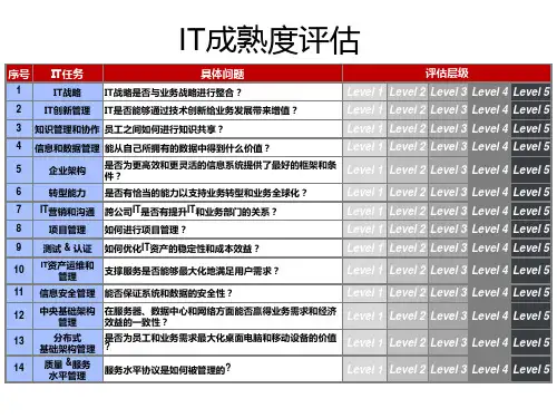 IT成熟度评估模型ppt课件