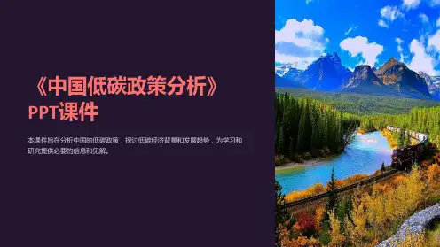 《中国低碳政策分析》课件