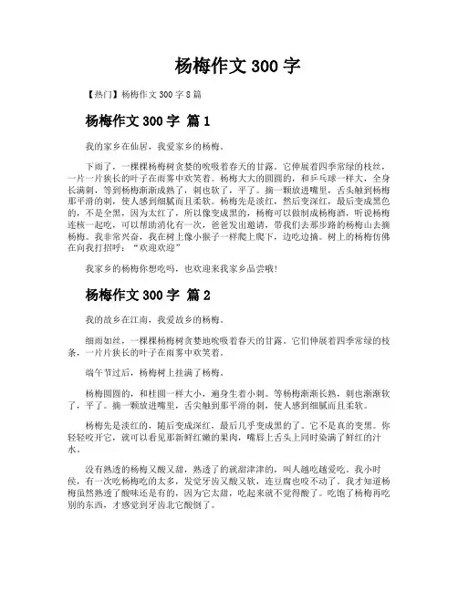 杨梅作文300字