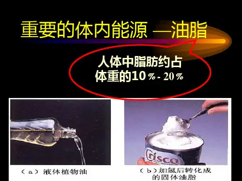 高中化学——油脂