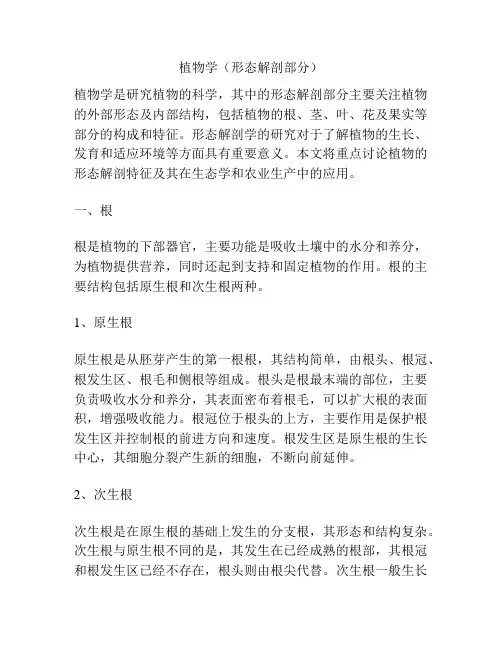 植物学(形态解剖部分)