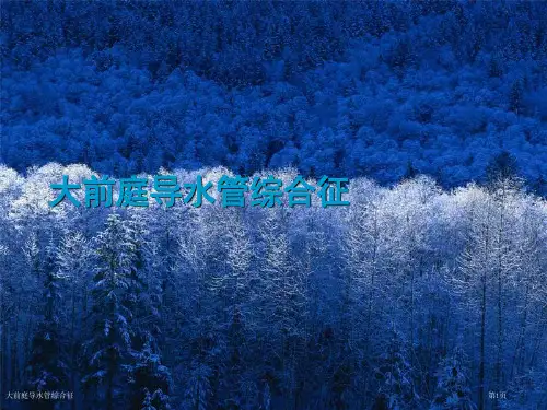 大前庭导水管综合征