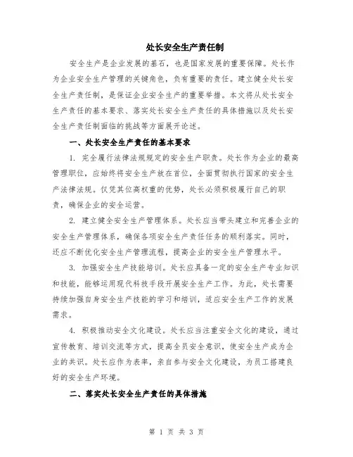 处长安全生产责任制