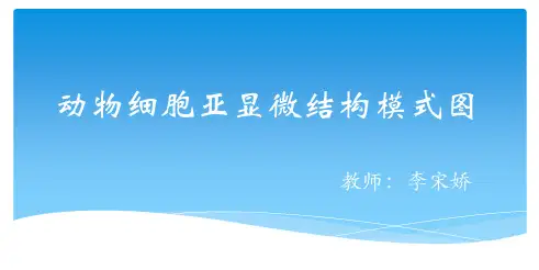 动物细胞亚显微结构模式图 ppt课件