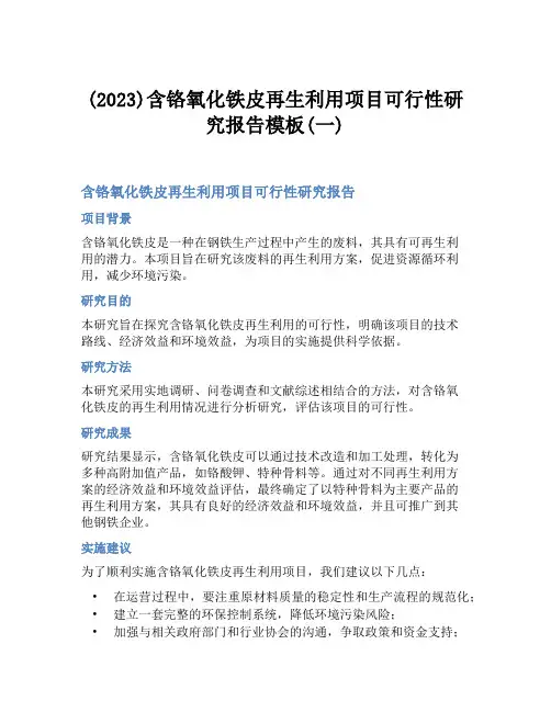 (2023)含铬氧化铁皮再生利用项目可行性研究报告模板(一)
