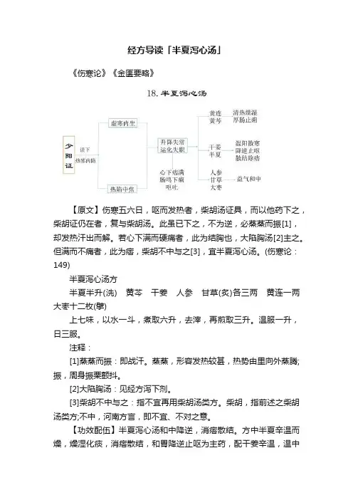 经方导读「半夏泻心汤」