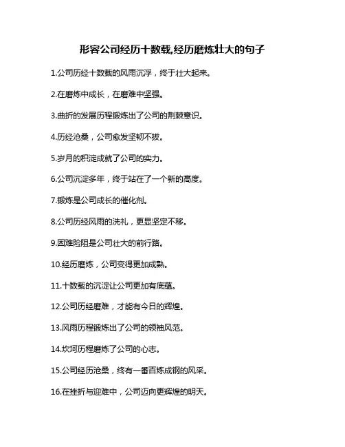 形容公司经历十数载,经历磨炼壮大的句子