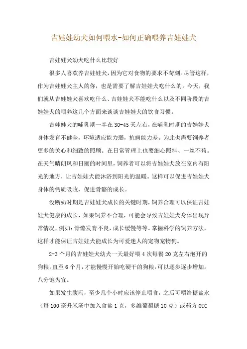 吉娃娃幼犬如何喂水-如何正确喂养吉娃娃犬