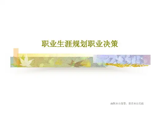 职业生涯规划职业决策-2023年学习资料