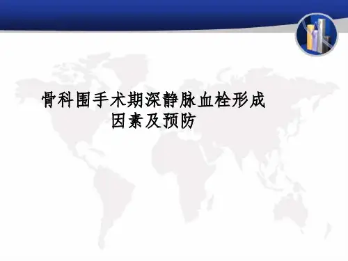 血栓课件ppt