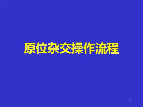 原位杂交操作流程PPT参考幻灯片