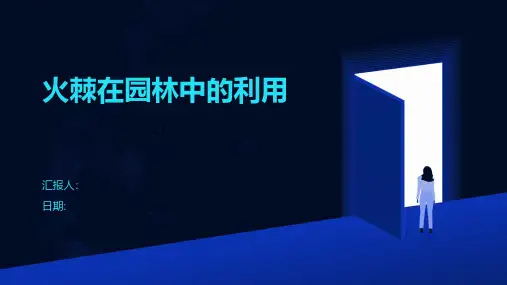 火棘在园林中的利用