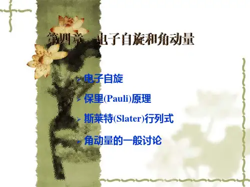 第四章  电子自旋和角动量